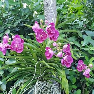 Meet your Posher, Irina